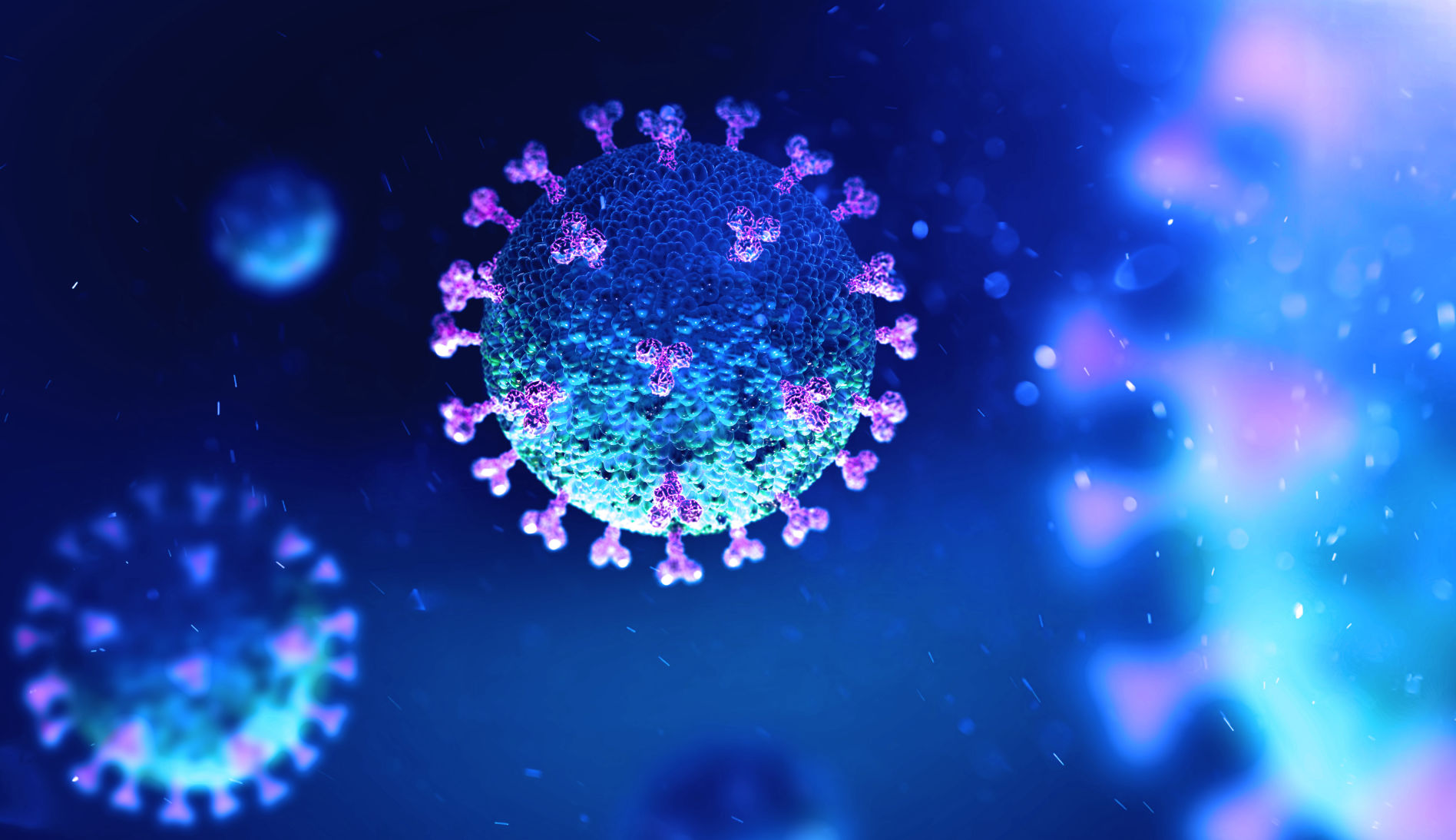 4 new COVID-19 cases reported today